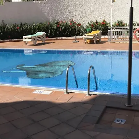Appartement In The Heart Of Playa Del Ingles